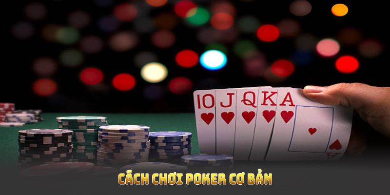 Cách chơi Poker cơ bản tại OK365 bạn cần hiểu trước khi nhập cuộc