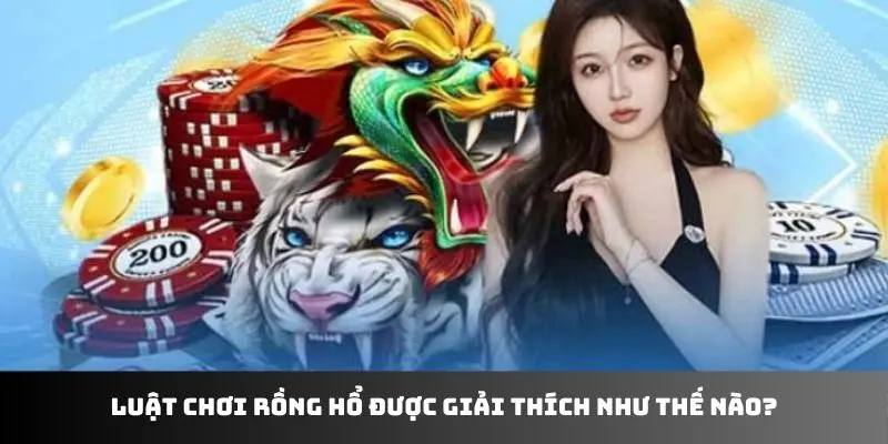 Luật chơi rồng hổ được giải thích như thế nào?