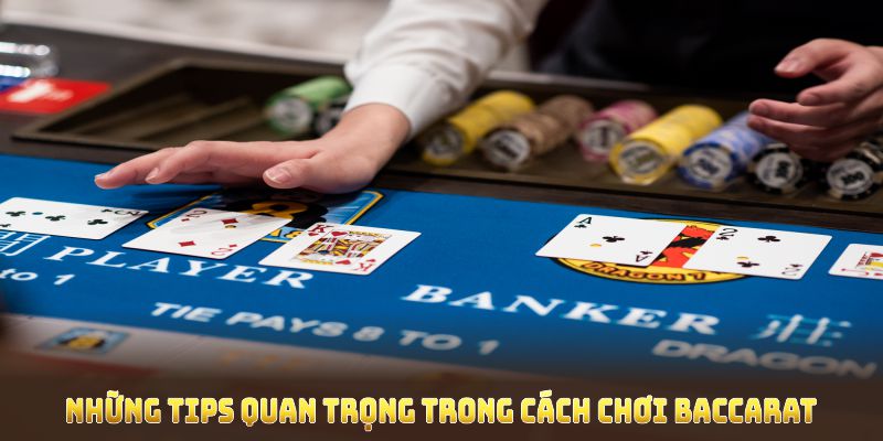 Những tips quan trọng trong cách chơi baccarat nhằm tăng hiệu quả đặt cược